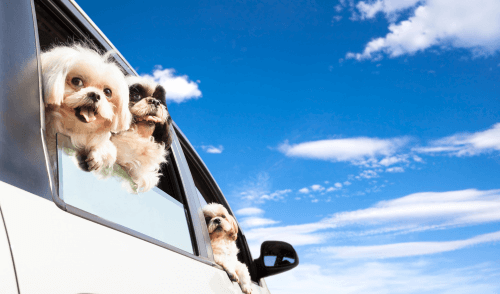 Discover the Best Dash Cam for Enhanced Road Safety