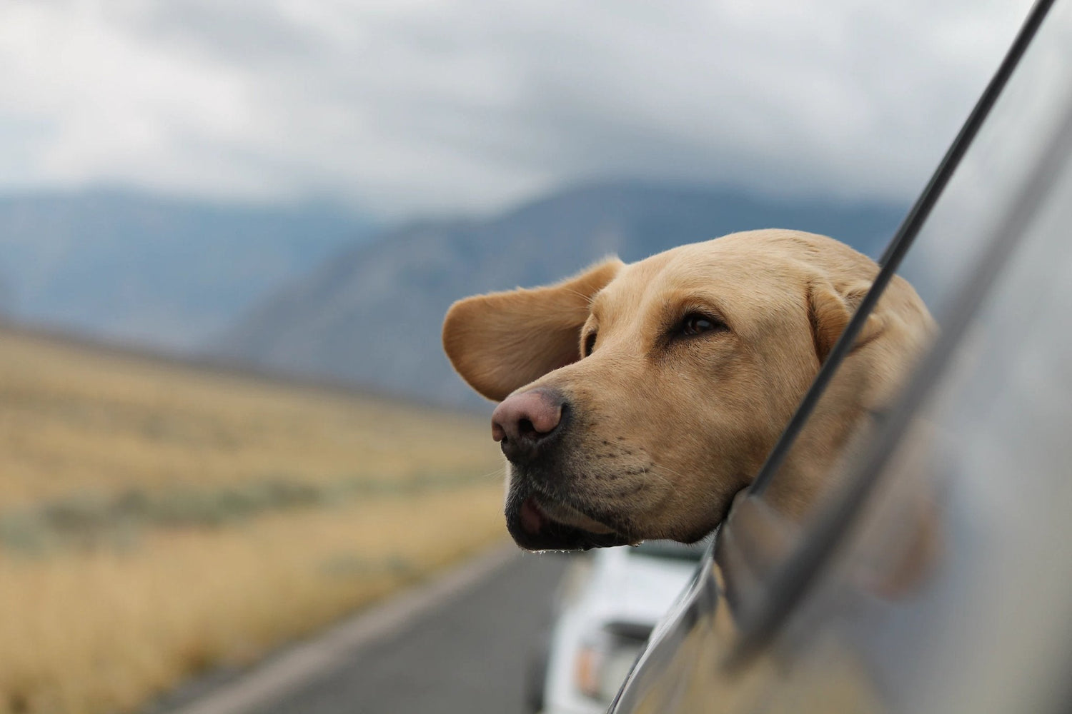 Introducing the WOLFBOX i17 Dash Cam: 4K Dash Cam Front and Inside - wolfboxdashcamera